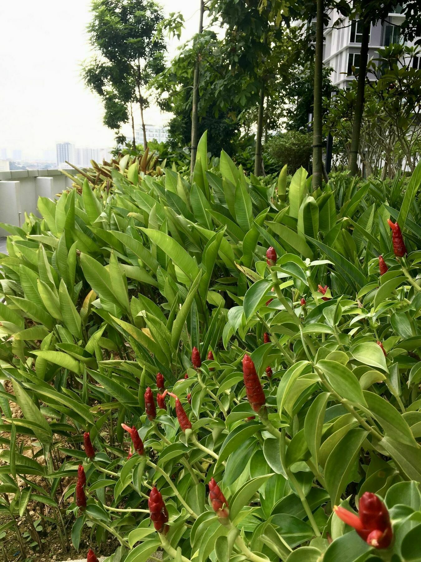 Southbank Residence Block B, Mid Valley @ De Space Kl กัวลาลัมเปอร์ ภายนอก รูปภาพ